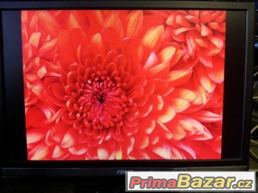 ASUS MW221 u – fotografie 3