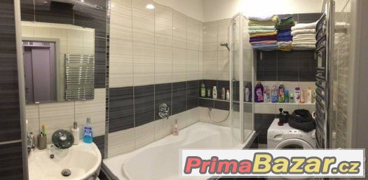 Pronájem zařízený Byt 1+1, Nový Jičín – fotografie 3