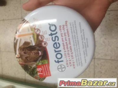 FORESTO Obojek