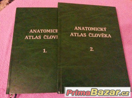 Netterův anatomický atlas člověka - Frank H. Netter – fotografie 1