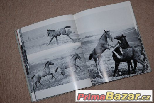 Kniha Návrat na pastviny – fotografie 2