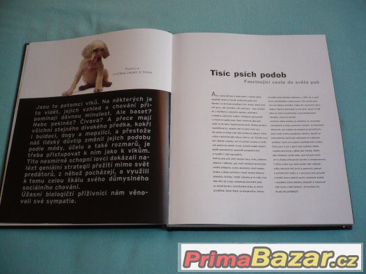 Prodám knihu Haf Kniha pro milovníky psů – fotografie 4