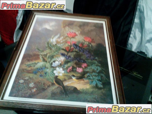 Obrazy – fotografie 6