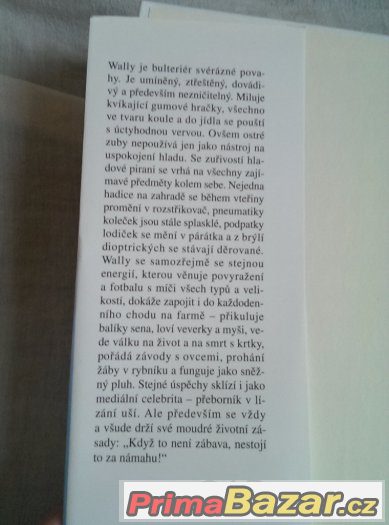 M. Boultonová - ZÁZRAČNÝ PES WALLY – fotografie 2