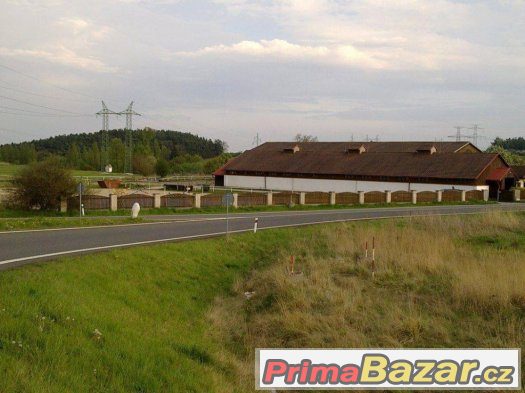 Ustájení s halou, trénink koní, výcvik jezdců – fotografie 4