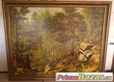 Obraz "KOZÍ HRBEK" (Borovice) Konečný Stanislav