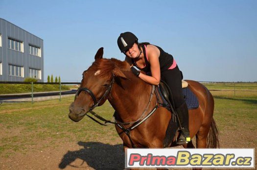 ZDARMA Nabízím ježdění konich obec Zbraslavice – fotografie 2