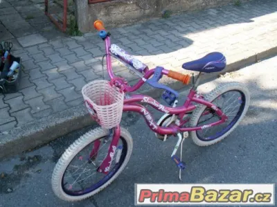 Krásné dívčí kolo