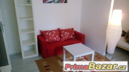 pronájem 1+1 se zahradou od majitele, Praha 10, Malešice – fotografie 3