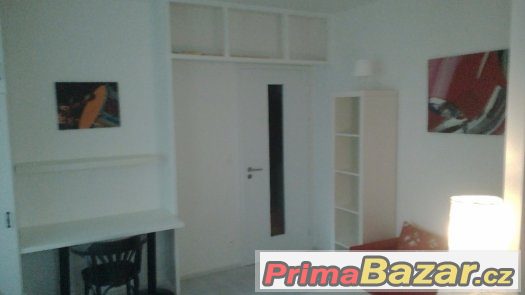 pronájem 1+1 se zahradou od majitele, Praha 10, Malešice – fotografie 5