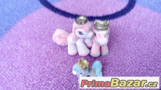 Filly koníci – fotografie 4
