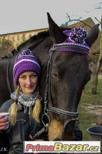 Nabízím ručně pletené kulíšky pro koně a jezdce – fotografie 1