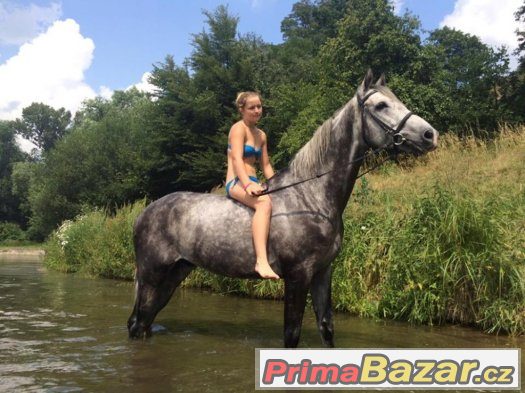 Příměstský tábor Jezdecký Klub Fidorka z.s. – fotografie 3