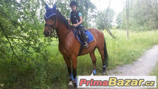 Příměstský tábor Jezdecký Klub Fidorka z.s. – fotografie 4