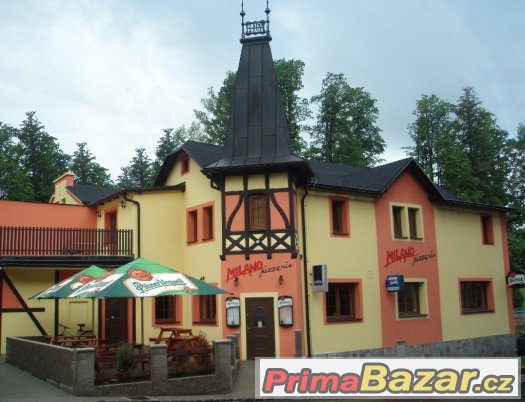 Servírka / číšník – fotografie 1