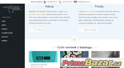 Nadčasový responzivní web všech kategorií – fotografie 1