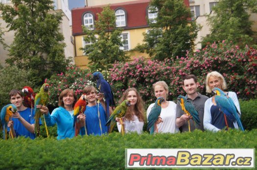 Zážitek s 9 ary ZDARMA za vysvědčení k promoci,... – fotografie 2