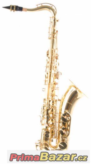 Prodám Tenor saxofón C.Giant - celý set – fotografie 5