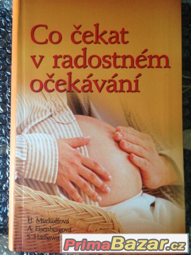Nová kniha pro budoucí maminkyCo čekat v radostném očekávání – fotografie 1