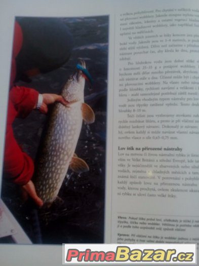 Prodám dvě krásné knihy Encyklopedie – fotografie 2