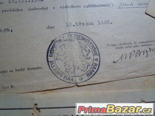 Vysvědčení, rozhodnutí rozsudek 1907. Hořice, Bernartice Tru – fotografie 4