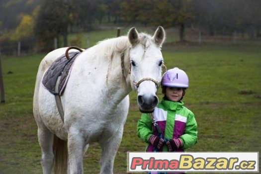 KOŇSKÝ PŘÍMĚSTSKÝ TÁBOR VELKÁ CHUCHLE – fotografie 1