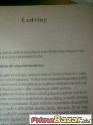 TAJEMSTVÍ        ČÍNSKÉHO     LÉČITELSTVÍ – fotografie 3