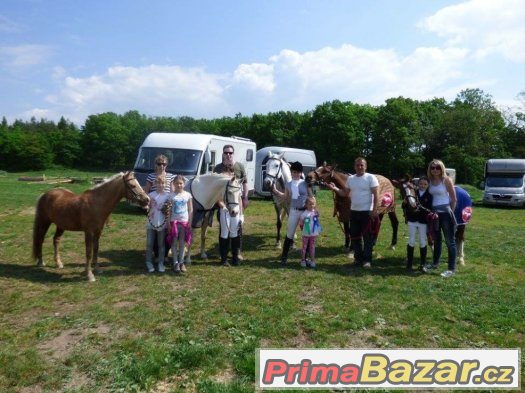 Hledáme členy do našeho pony teamu – fotografie 1