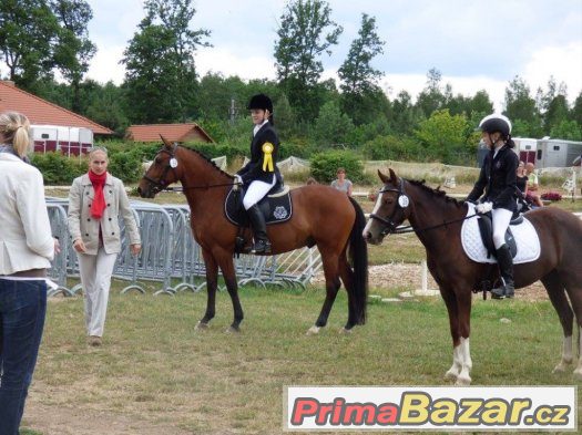 Hledáme členy do našeho pony teamu – fotografie 2