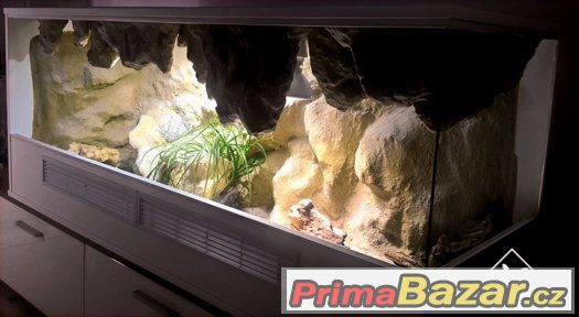 TERÁRIA DO BYTU / KANCELÁŘE - Realizace originálních terárií – fotografie 2