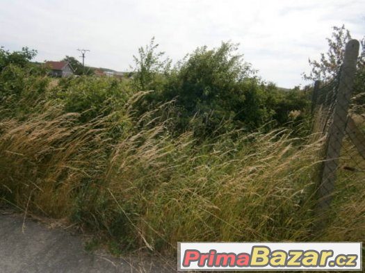 Nabídka orné půdy – fotografie 2