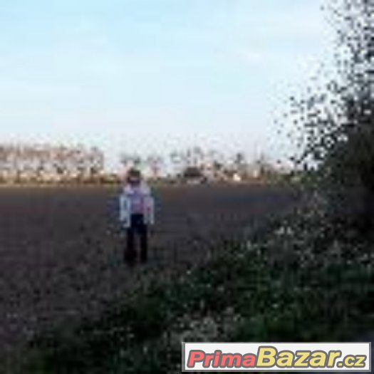 Prodám pole v Břestě. – fotografie 5