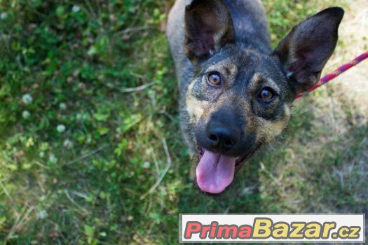 ♥♥♥ Krásná Terri ♥♥♥ – fotografie 1