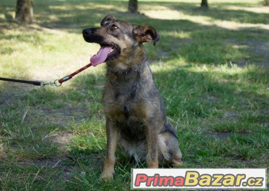 ♥♥♥ Krásná Terri ♥♥♥ – fotografie 2