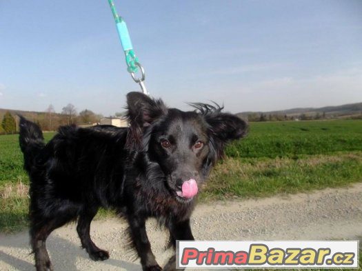 ❁❁  Aktivní Erny ❁❁ – fotografie 2