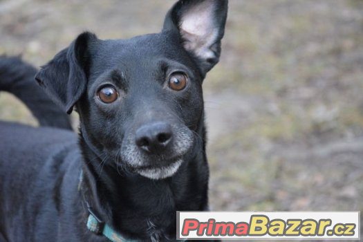 Fram ♥♥♥ – fotografie 1