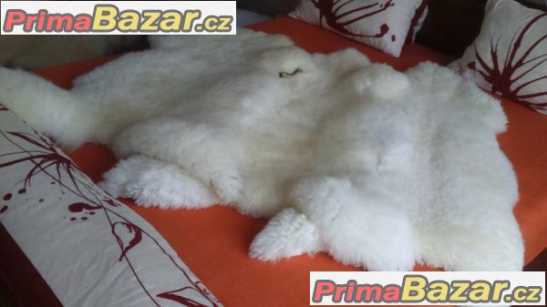 prodám ovčí kůže – fotografie 2