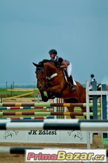 Valach do sportu – fotografie 2