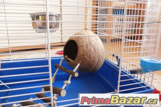Prodám prostornou klec s vybavením – fotografie 3