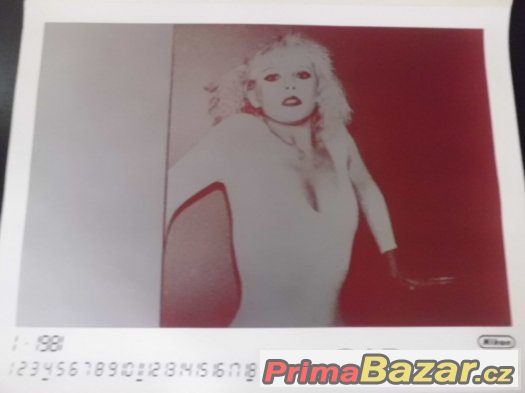 zajímavý  umělecký starý kalendář - NIKON 1981 – fotografie 3