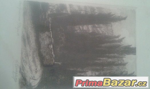 obraz 30x25x1,8 – fotografie 2