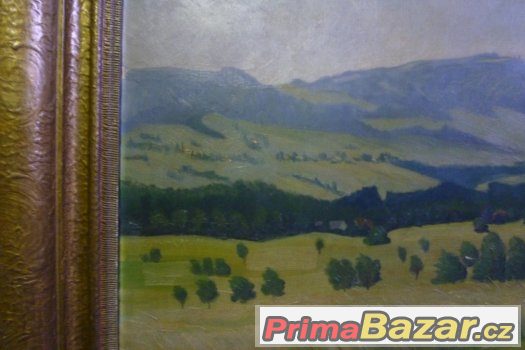 Obraz Zvičina Dvůr Králové – fotografie 3
