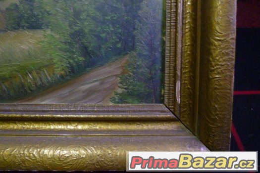 Obraz Zvičina Dvůr Králové – fotografie 4