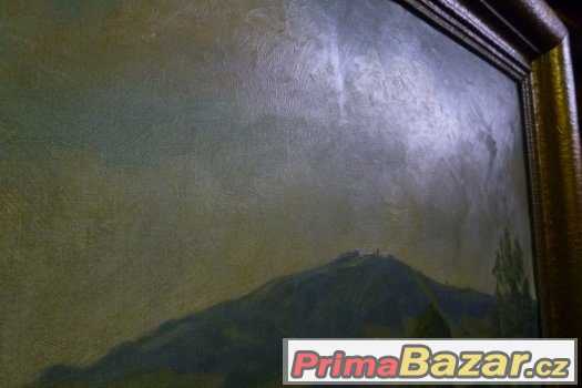 Obraz Zvičina Dvůr Králové – fotografie 5