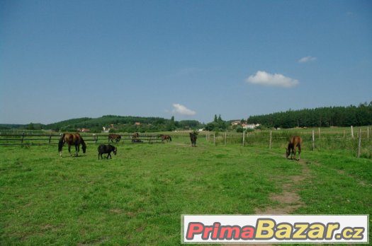 Boxové ustájení – fotografie 3