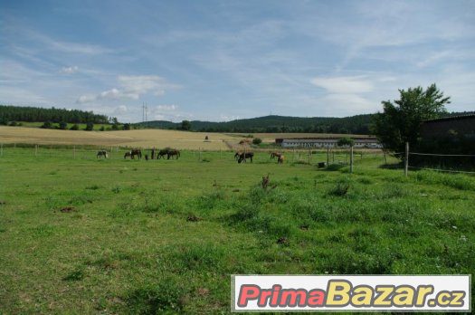 Jezdecké centrum Rangers – fotografie 5