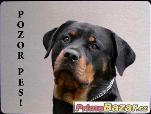 Luxusní hliníková tabulka POZOR PES Rotvajler Rottweiler – fotografie 2