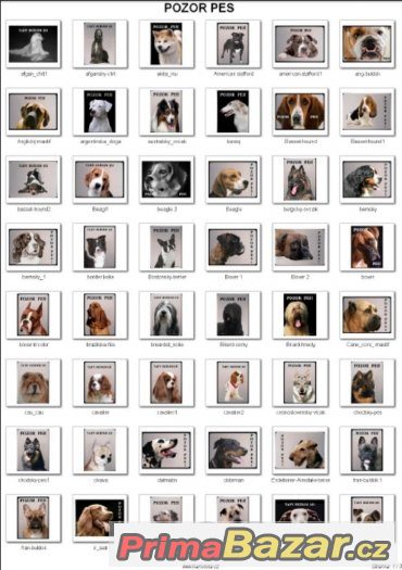 Luxusní hliníková tabulka POZOR PÍCHÁM – fotografie 2