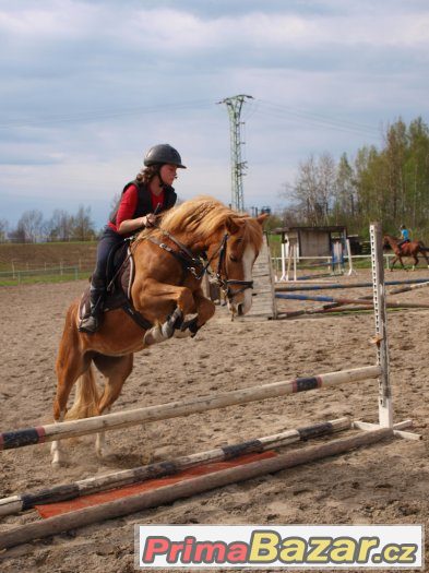 Hledáme nové členy pro náš PONY tým v Ostravě – fotografie 1