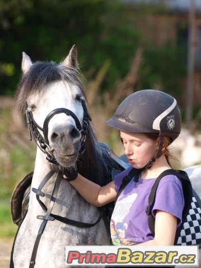 Hledáme nové členy pro náš PONY tým v Ostravě – fotografie 3